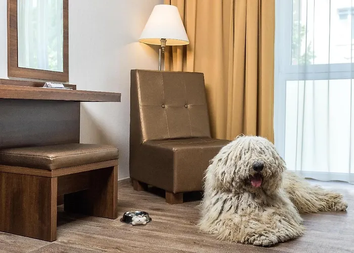 Bonvital Superior Adults Only Hévíz