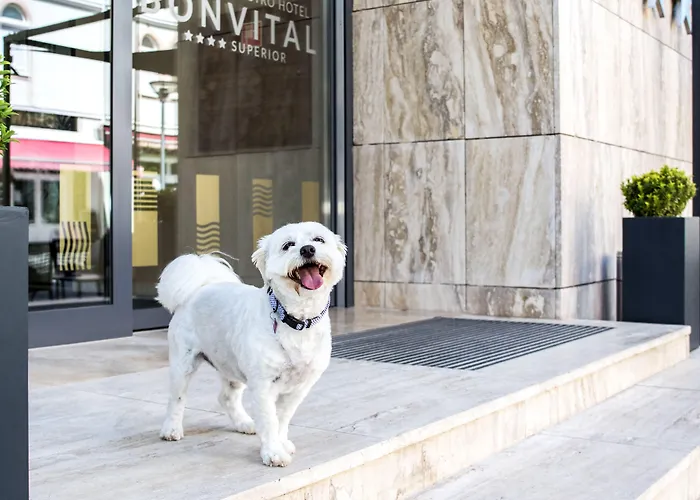 Bonvital Superior Adults Only