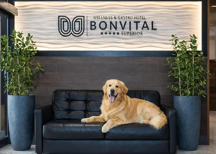 Bonvital Superior Adults Only 4* Hévíz